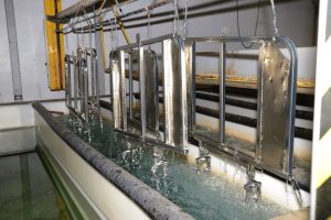 E-coating vs Electroplating